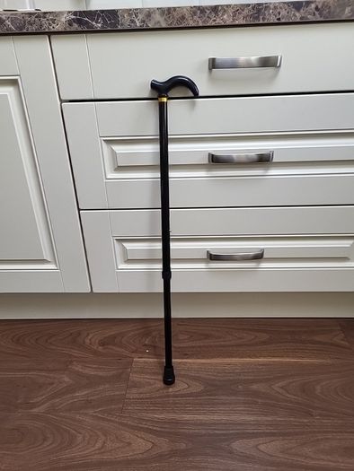 Walking stick telescopic