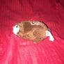 Zhu zhu Pets hamster Image 3
