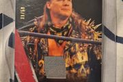2021 AEW Upper Deck Red Mat Relic - Chris Jericho (31/50) WWE