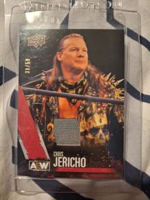 2021 AEW Upper Deck Red Mat Relic - Chris Jericho (31/50) WWE