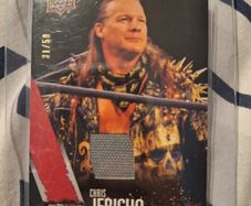 2021 AEW Upper Deck Red Mat Relic - Chris Jericho (31/50) WWE