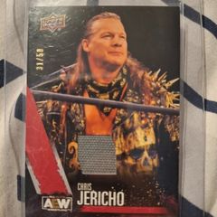2021 AEW Upper Deck Red Mat Relic - Chris Jericho (31/50) WWE