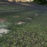 Bird Net Image 3