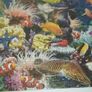 Jewels of the sea Ravensburger Jigsaw puzzle 1000pcs 70x50cm Image 3