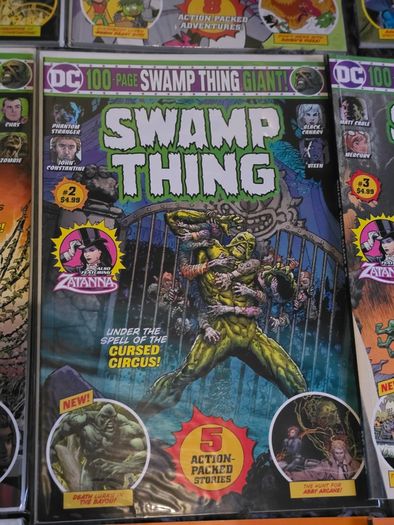 DC 100-Page Giant Bundle | 23 Issues | Batman Flash Aquaman Swamp Thing Superman