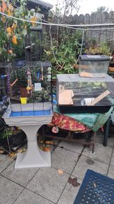 Pet cages from 15E