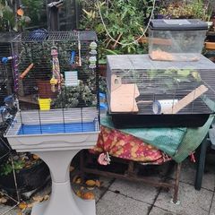 Pet cages from 15E