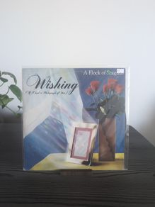 A Flock Of Seagulls - Wishing (If I Had A Photograph Of You) (12", Single)