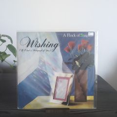 A Flock Of Seagulls - Wishing (If I Had A Photograph Of You) (12", Single)