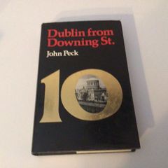 Dublin from Downing street by John Peck