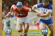2015 Cork v Waterford - Munster GAA Senior Hurling Semi Final Championship Programme