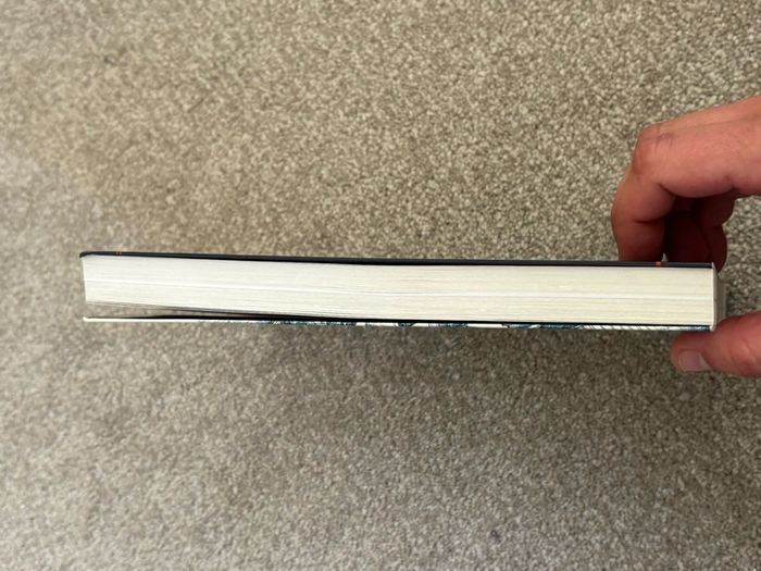 Rosenheim & Windermere by Brian Lalor Book