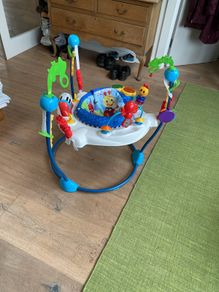 This sturdy, colourful baby bouncer awaits new occupant. The former occupants have discovered mobility.