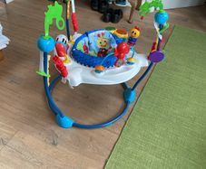 This sturdy, colourful baby bouncer awaits new occupant. The former occupants have discovered mobility.