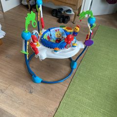 This sturdy, colourful baby bouncer awaits new occupant. The former occupants have discovered mobility.