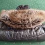 superDry Jacket Size 10Uk, (14-15yrs) Image 5