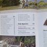 fishing book Image 6
