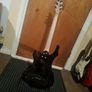 Esp ltd f10 Image 5