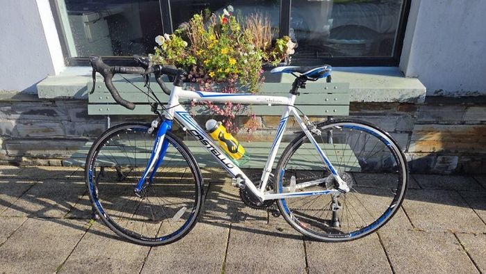 Castello Stelvio road racing bike