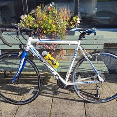 Castello Stelvio road racing bike