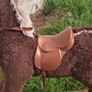 Rocking Horse needs TLC Image 3