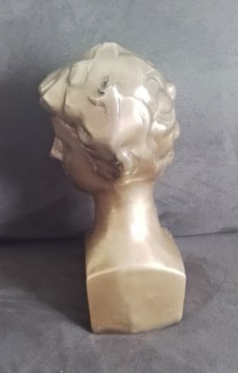 Bust Of David - Patinated Bronze