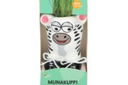 Buzzy Munakuppi Zebra Grow Pot &amp; Seeds