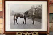 Framed print of Racehorse St Simon contemporary reproductions