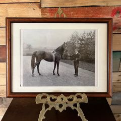 Framed print of Racehorse St Simon contemporary reproductions