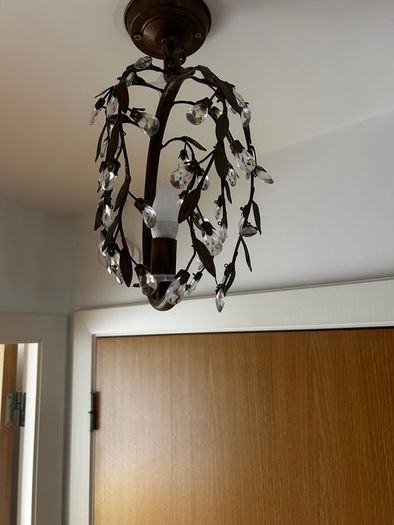 2 Hanging Ceiling Lights