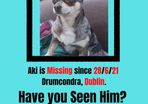 Missing