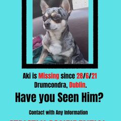 Missing