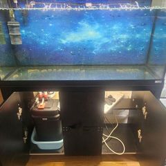 Fluval Roma 200l