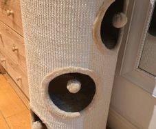XL Scratching barrel