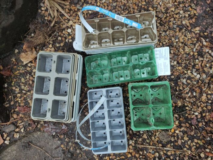 Seedling modules of various sizes