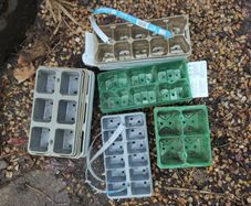 Seedling modules of various sizes