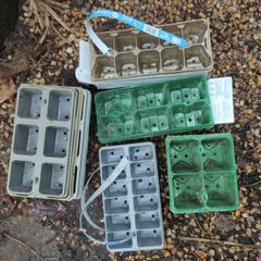 Seedling modules of various sizes