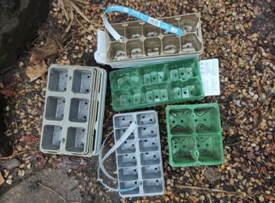 Seedling modules of various sizes