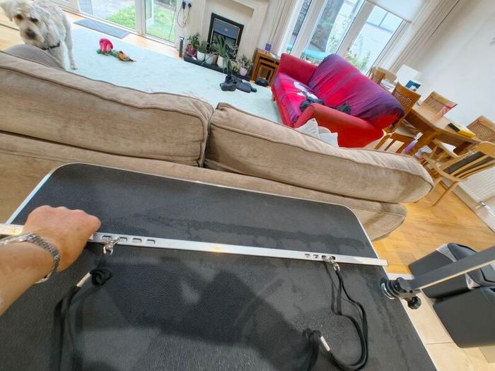 vidaXL Grooming Table for Dogs