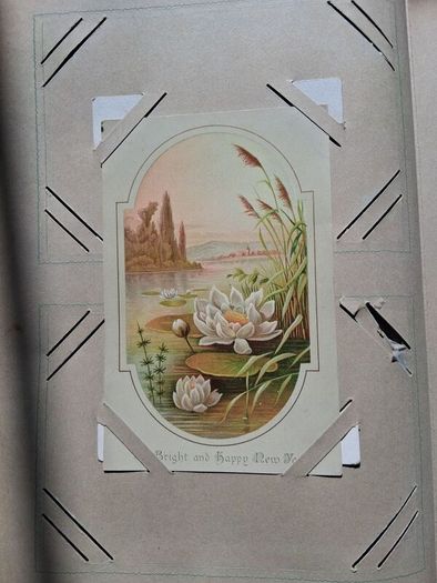 Mega Art Nouveau Postcard Album (197 Pieces)