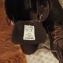 Cofra safety boots Image 3
