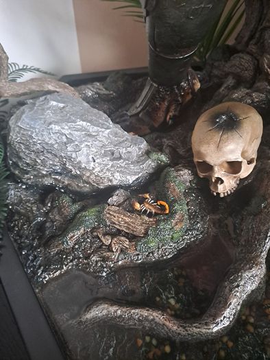 Prime 1 Studio Jungle Hunter Predator Deluxe Bonus