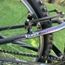 Girls bike Procycle Venus 24 Image 4