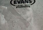Evans 14