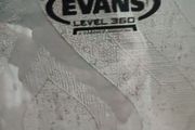 Evans 14" EC2 head