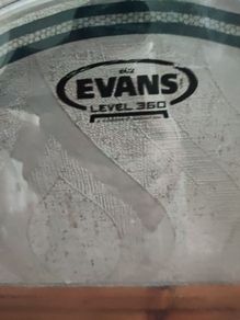 Evans 14" EC2 head