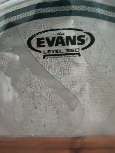 Evans 14" EC2 head