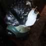 bulldog statue Image 4