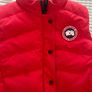 canada goose Image 2