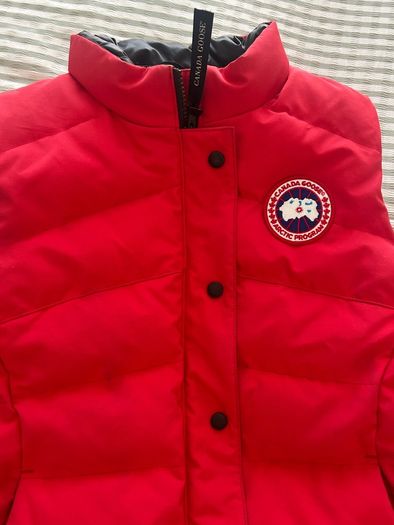 canada goose